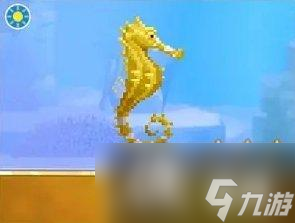 《潜水员戴夫》海马图鉴大全