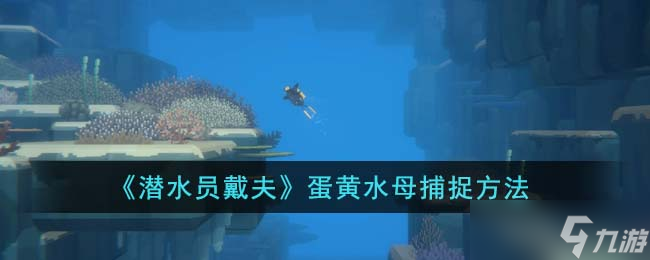 潜水员戴夫蛋黄水母怎么捕-蛋黄水母捕捉方法