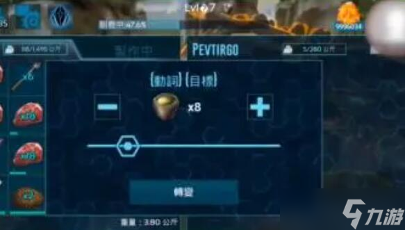獅鷲應該怎么馴服
