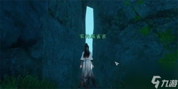 逆水寒手游水帘洞天怎么过