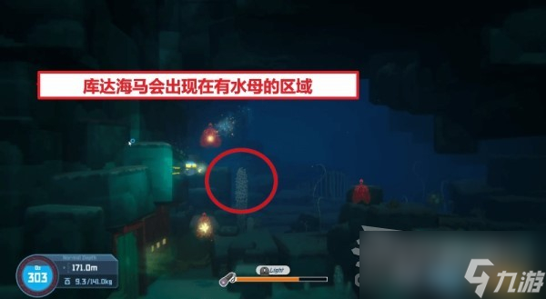 《潜水员戴夫》全海马出现位置及捕捉方法