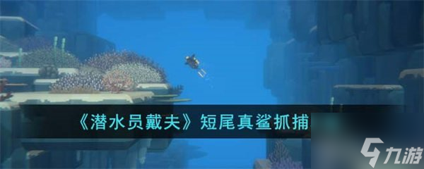 潜水员戴夫短尾真鲨抓捕方法 短尾真鲨怎么抓捕