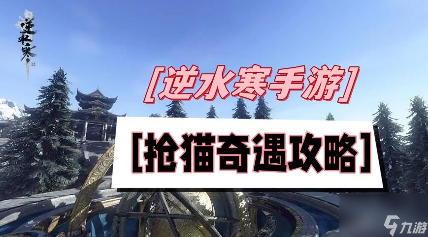 抢猫奇遇攻略