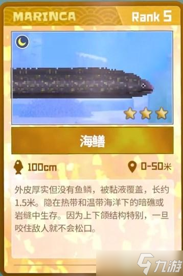潜水员戴夫海鳝怎么抓