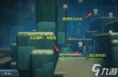 《潜水员戴夫》澳洲斑点水母在哪