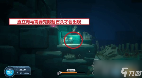《潜水员戴夫》全海马出现位置及捕捉方法