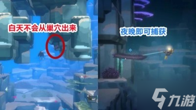 《潜水员戴夫》海鳝抓取方法分享