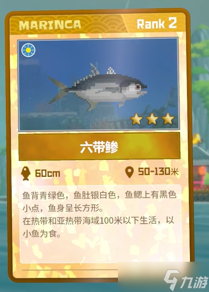 潜水员戴夫六带鲹怎么捉