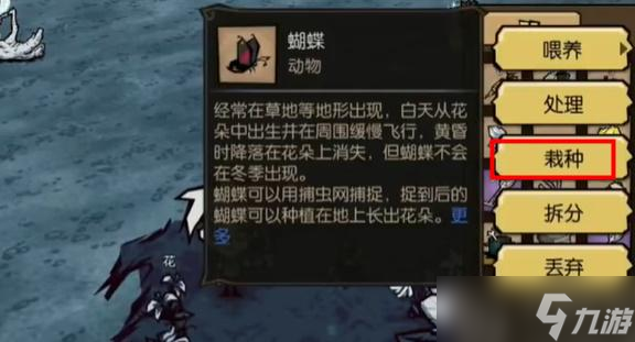 饥荒新家园温蒂任务怎么完成