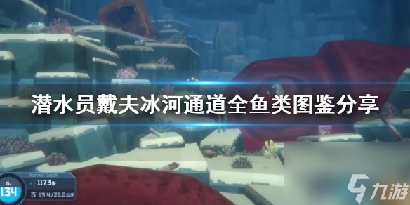 《潜水员戴夫》冰河通道全鱼类图鉴分享 有哪些鱼？