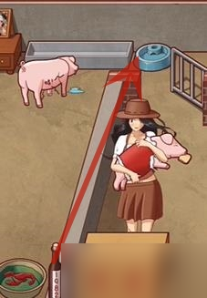 超级达人美梦猪圈怎么过