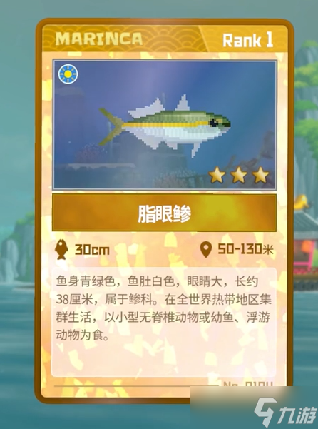 潜水员戴夫脂眼鲹怎么捕捉