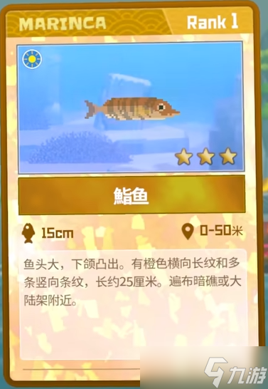 潜水员戴夫鮨鱼怎么捕捉