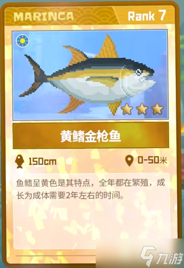 潜水员戴夫黄鳍金枪鱼在哪