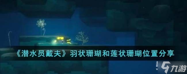 潜水员戴夫羽状珊瑚和莲状珊瑚在哪 羽状珊瑚和莲状珊瑚在哪里推荐