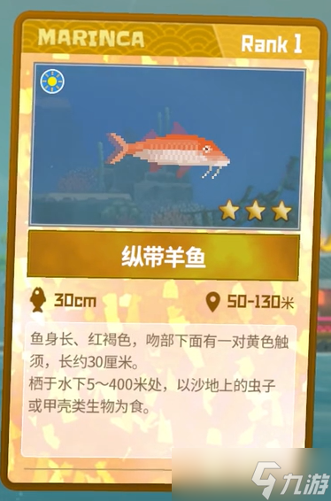 潜水员戴夫纵带羊鱼怎么抓