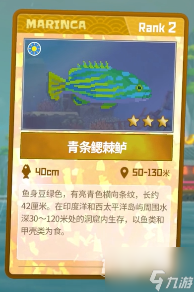 潜水员戴夫青条鳃棘鲈抓捕攻略