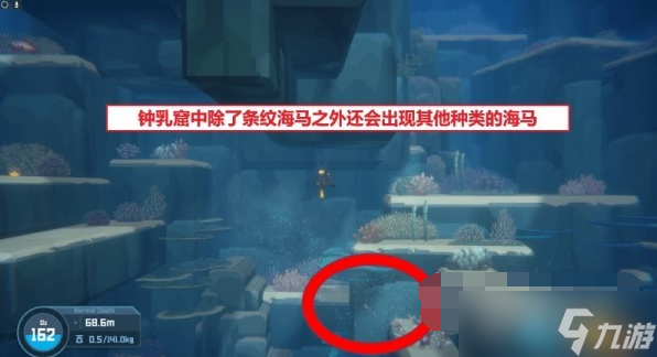 潜水员戴夫海马位置大全