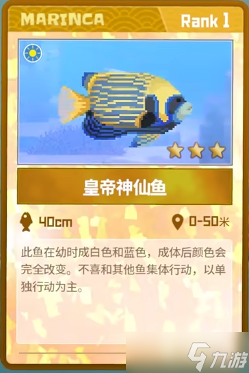 潜水员戴夫皇帝神仙鱼怎么捕捉