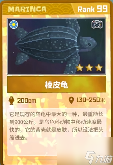 潜水员戴夫棱皮龟在哪_潜水员戴夫棱皮龟捕获方法分享