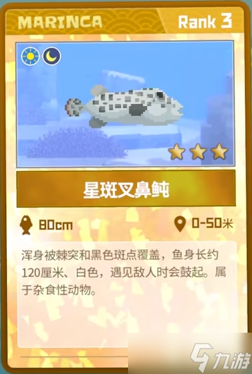潜水员戴夫星斑叉鼻鲀怎么捉