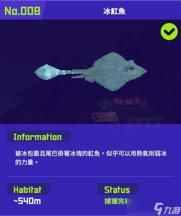 潜水员戴夫冰魟鱼图鉴分享