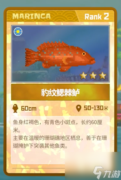 《潜水员戴夫》豹纹鳃棘鲈抓捕方法