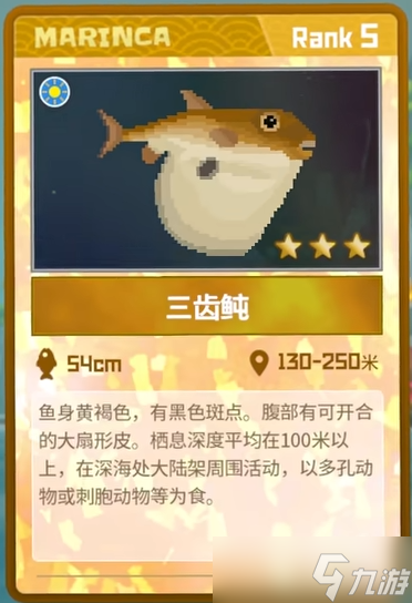 潜水员戴夫三齿鲀怎么捉