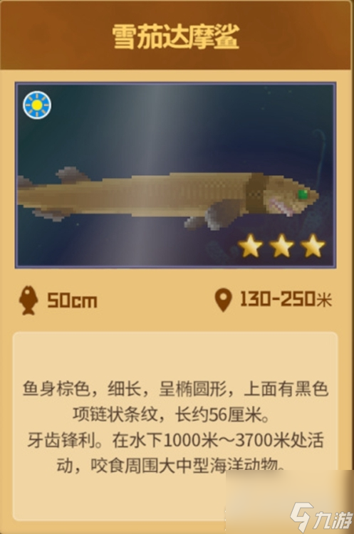潜水员戴夫雪茄达摩鲨在哪里