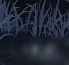 逆水寒手游风雪夜归人通关图文详解
