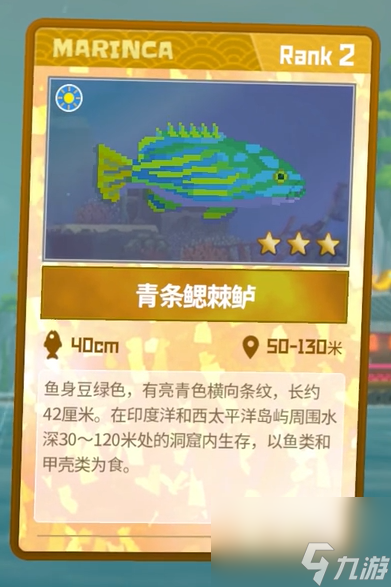 《潜水员戴夫》青条鳃棘鲈抓捕攻略