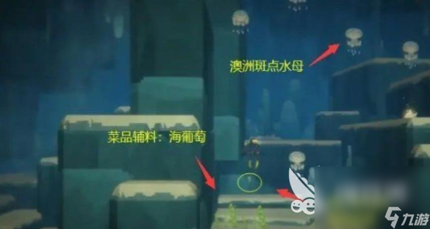 潜水员戴夫海葡萄在哪 潜水员戴夫海葡萄位置分享