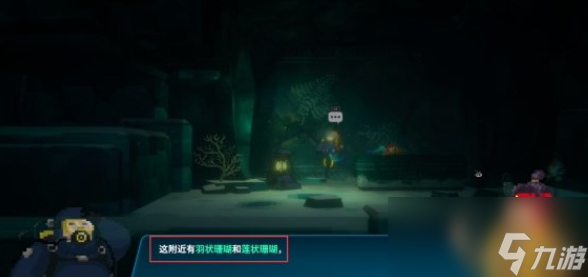 潜水员戴夫羽状珊瑚和莲状珊瑚在哪