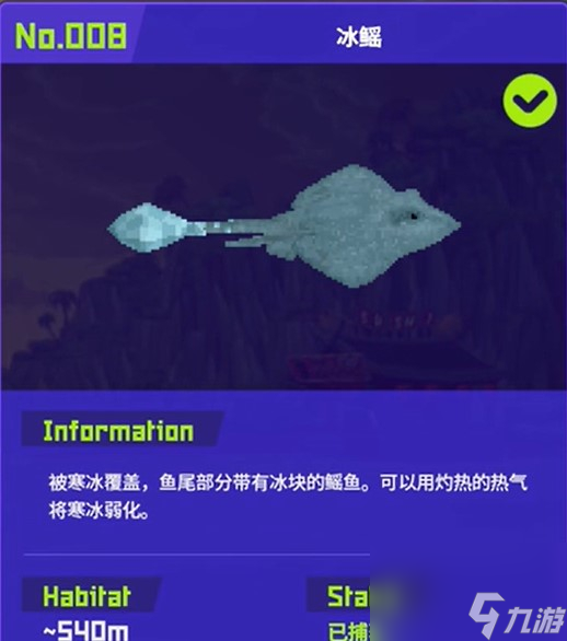潜水员戴夫冰鳐该捕捉技巧,潜水员戴夫冰鳐该怎么捕捉