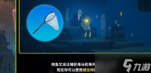 潜水员戴夫海马位置