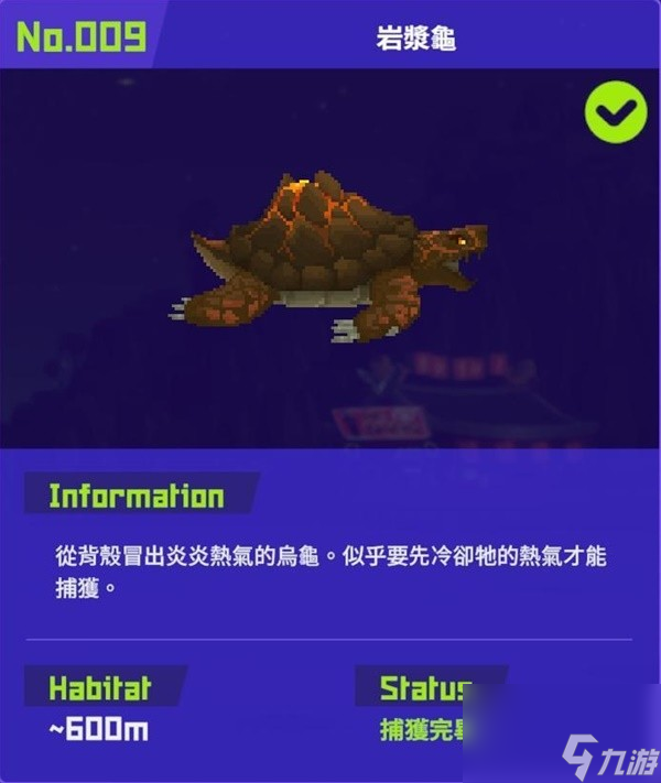 《潜水员戴夫》岩浆龟图鉴分享 岩浆龟怎么抓？