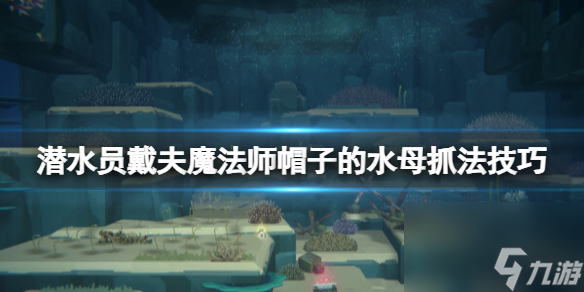 《潛水員戴夫》魔法水母位置在哪？魔法師帽子的水母抓法技巧