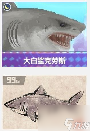 潜水员戴夫大白鲨克劳斯在哪抓