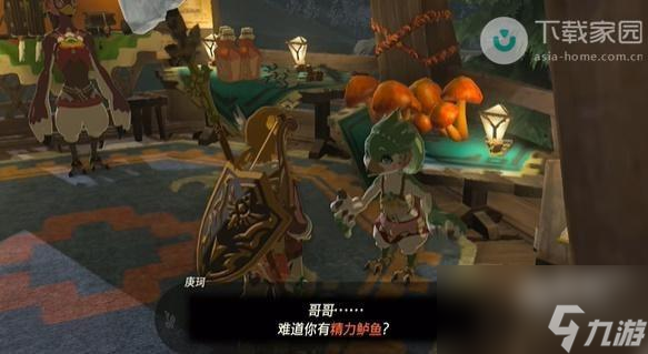 塞尔达传说王国之泪庚珂亲手做的料理任务如何完成