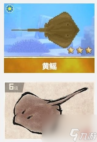 潜水员戴夫黄鳐在哪抓