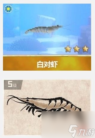 潜水员戴夫3星白对虾捕捉攻略