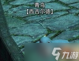 《ff14》寻宝地图怎么挖 寻宝地图攻略