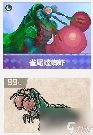 《潜水员戴夫》雀尾螳螂虾捕捉攻略