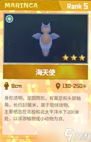 潜水员戴夫海天使在哪里捉