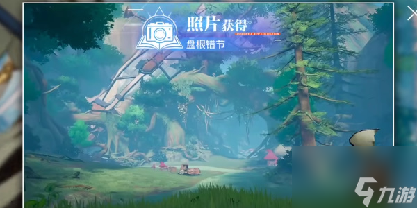 晶核古代巨树拍照点