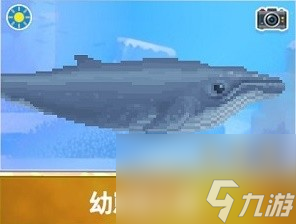 潜水员戴夫3星幼崽座头鲸捕捉攻略