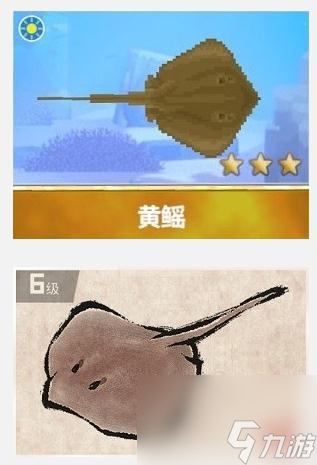 潜水员戴夫黄鳐在哪抓