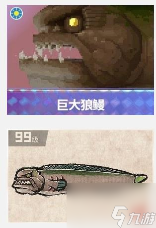 潜水员戴夫3星巨大狼鳗捕捉攻略