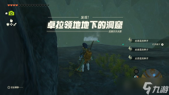 塞尔达传说王国之泪卓拉领地地下的深穴位置