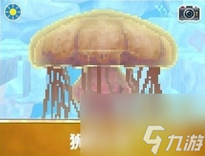 潜水员戴夫狮鬃水母怎么捕捉